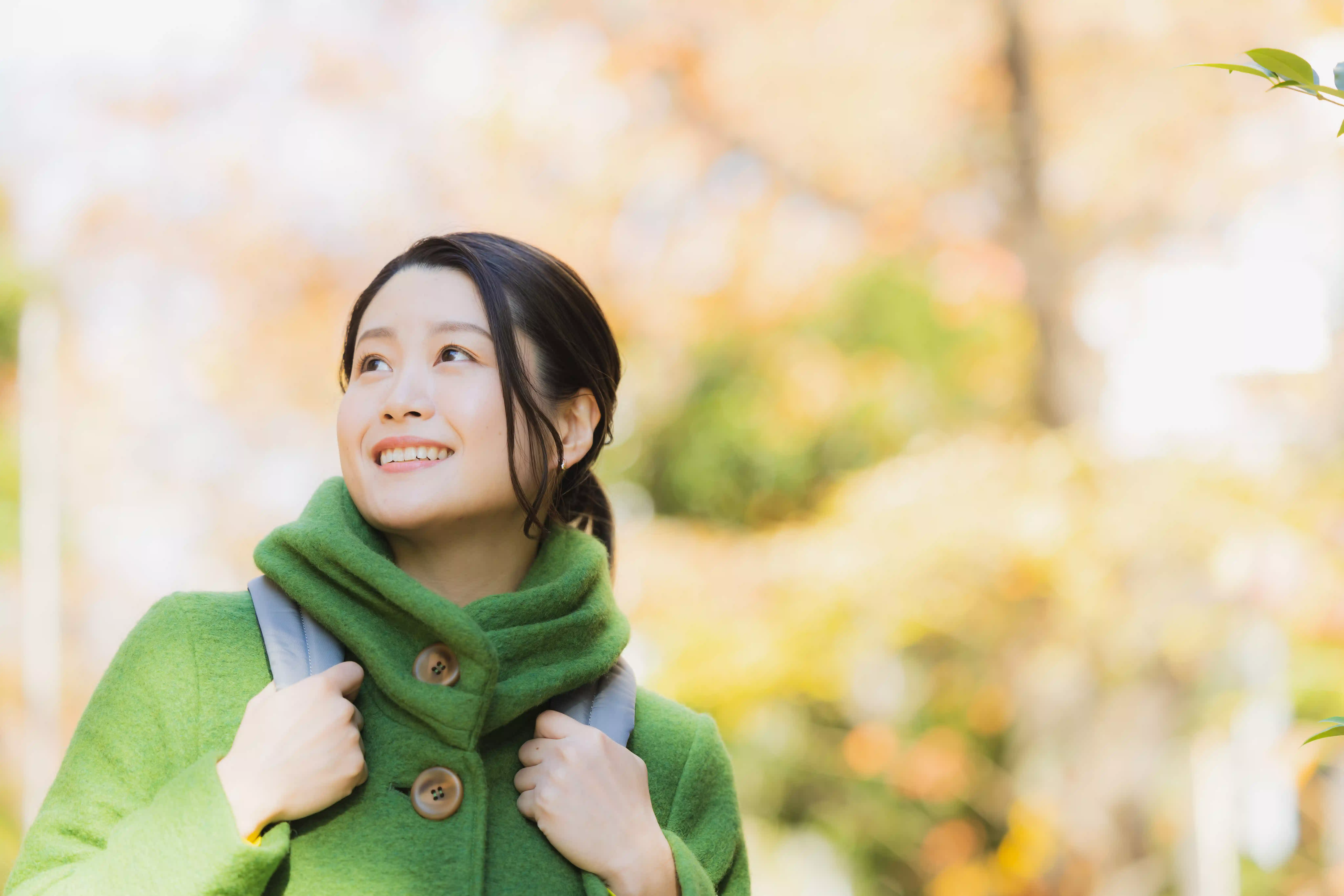 メインビジュアル3