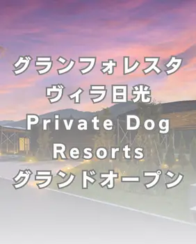 グランフォレスタヴィラ日光Private Dog Resortsグランドオープン